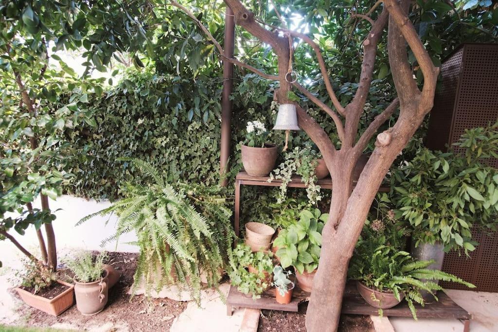 Вілла La Casa Del Jardin Канделеда Екстер'єр фото